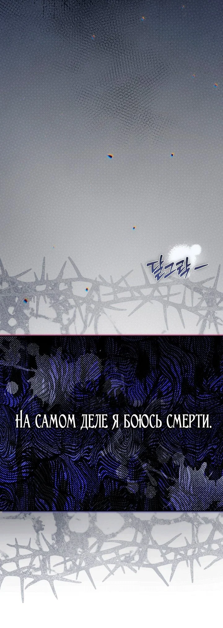 Я стала фальшивым принцем — Том 1. Глава 19 — страница 39