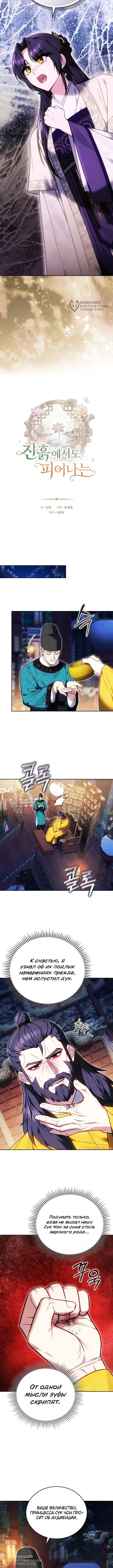 Расцветая в грязи — Том 1. Глава 8 — страница 4