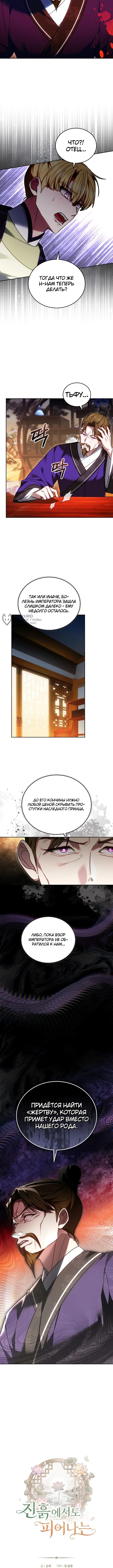 Расцветая в грязи — Том 1. Глава 7 — страница 3