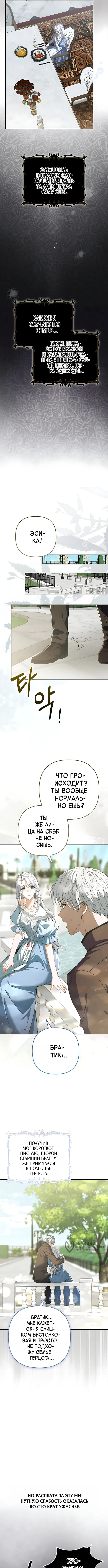 Замужняя жизнь злодейки в радость — Том 1. Глава 1 — страница 17