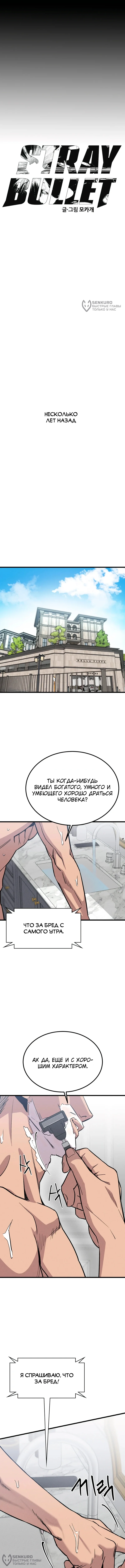Шальная пуля — Том 1. Глава 1 — страница 4