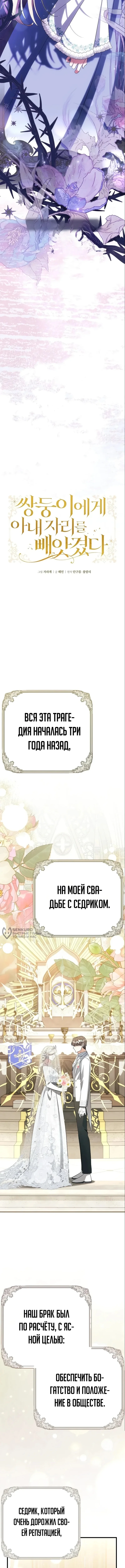 Моё место жены украла близнец — Том 1. Глава 1 — страница 6