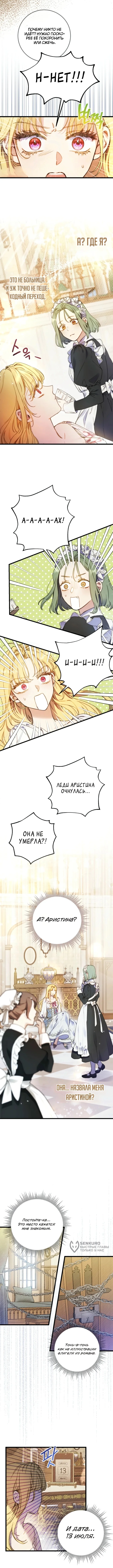Злодейка — миллионерша-решала — Том 1. Глава 2 — страница 9