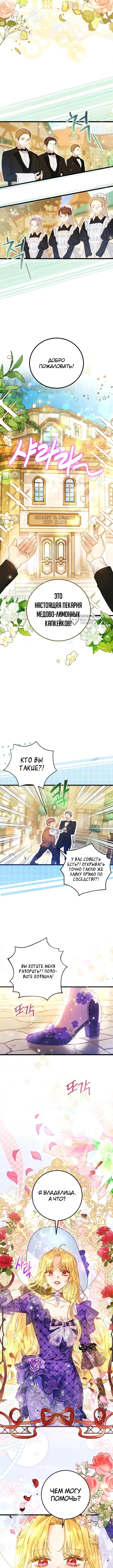 Злодейка — миллионерша-решала — Том 1. Глава 1 — страница 3