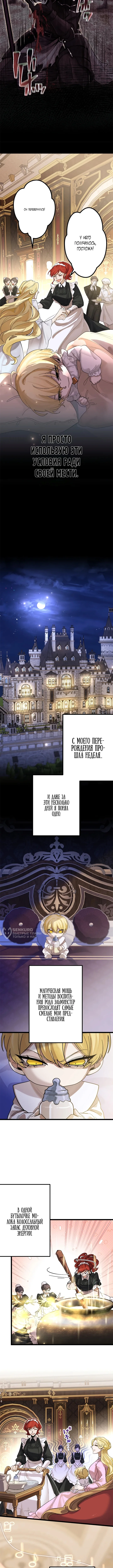 Реинкарнация святого меча в семье магов — Том 1. Глава 2 — страница 6