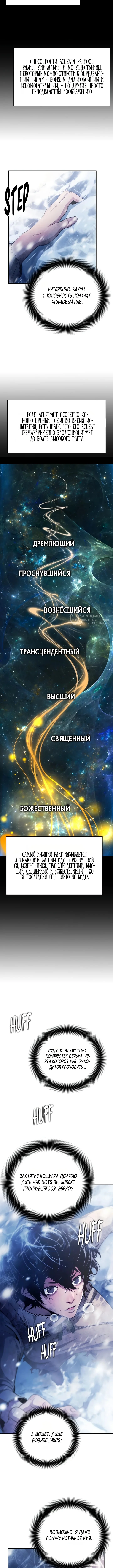 Теневой раб — Том 1. Глава 8 — страница 11
