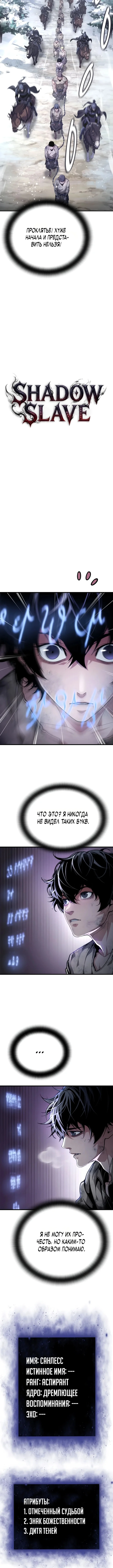 Теневой раб — Том 1. Глава 2 — страница 5